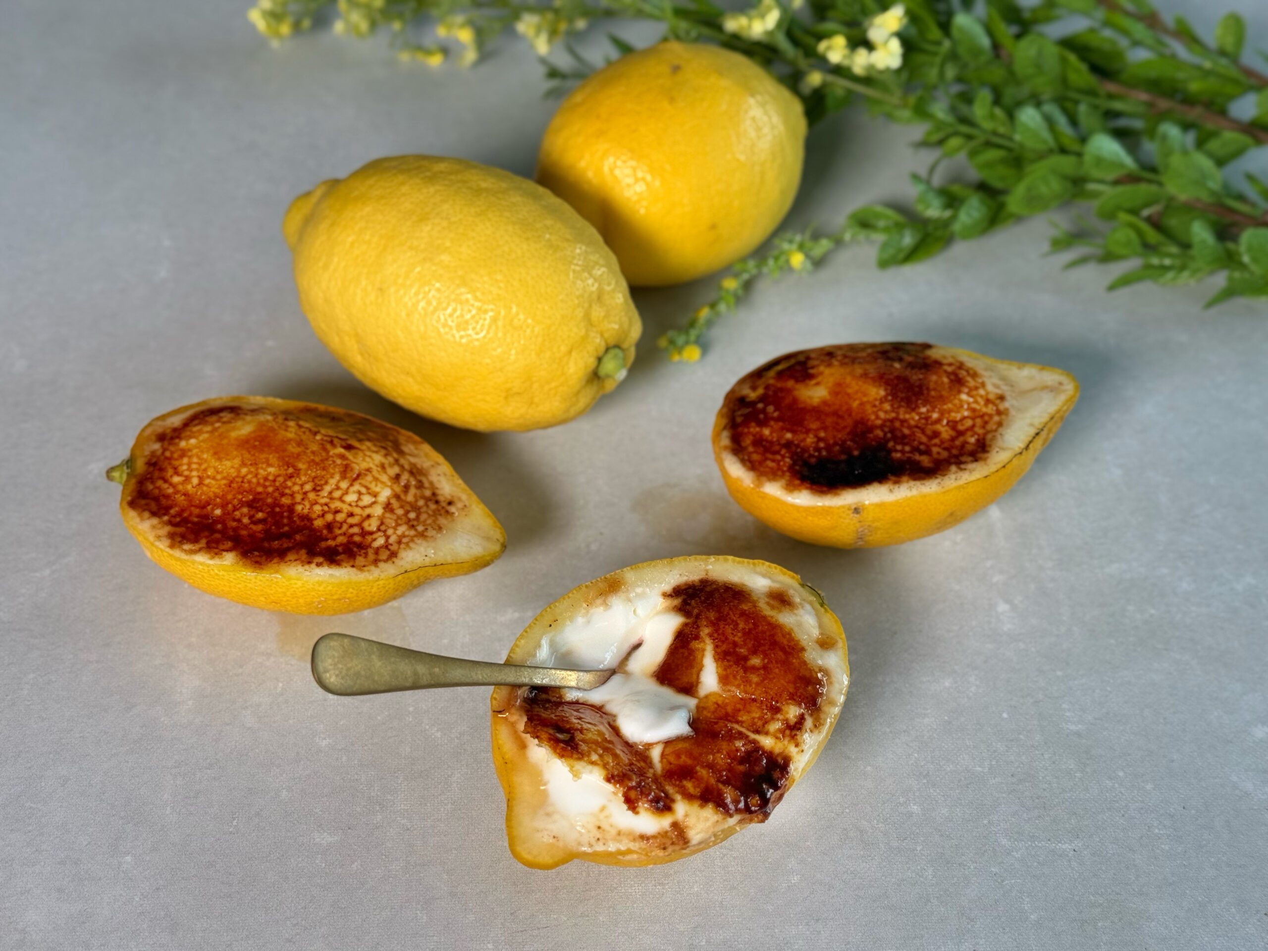 Zitronen Crème Brûlée